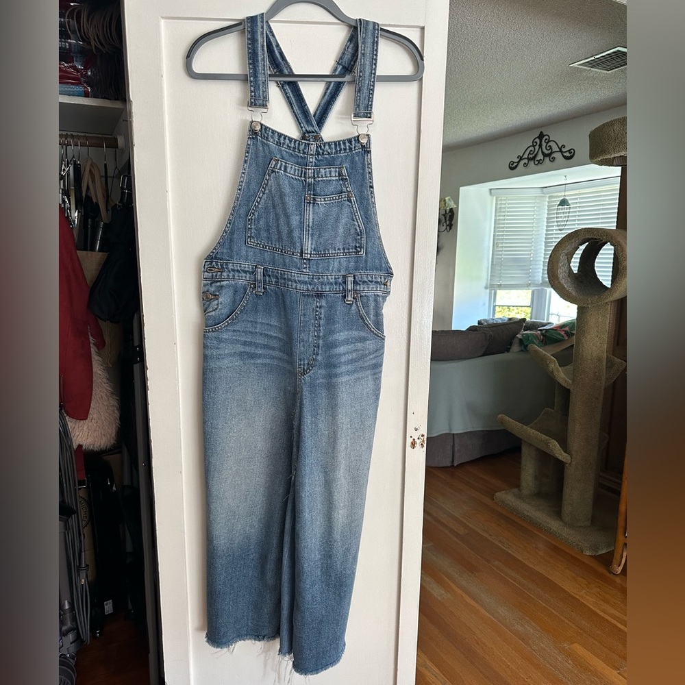 We the free overall dress